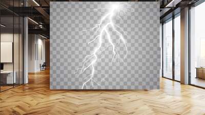 Vector illustration. Transparent light effect of electric lightning. The indomitable power of natural energy. Wall mural