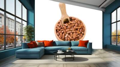 Pinto bean in wooden bowl and scoop isolated on white background. nutrition. bio. natural food ingredient. Wall mural