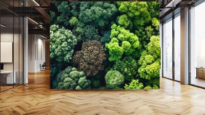 Net zero carbon negative forest nature topview drone Wall mural