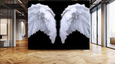 white wings isolated on black background element graphic decoration Wall mural