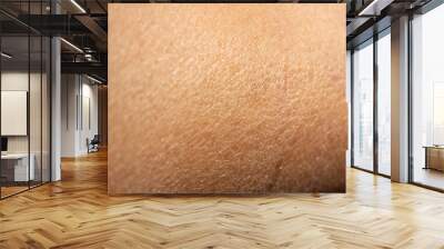 Woman's dry skin on leg, Close up & Macro shot, Asian skin tone, Abstract background Wall mural