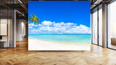 Beautiful tropical island with palm trees and beach panorama as background image Wall mural