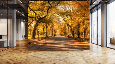 Colorful Central Park in New York City during autumn season Wall mural