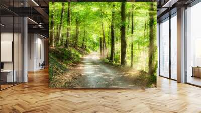 Grünes Wald Panorama im Sonnenlicht Wall mural