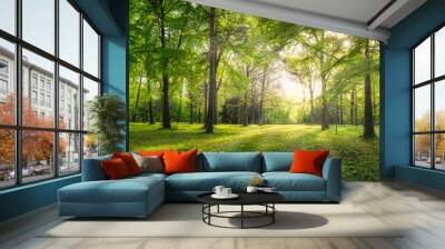 Panoramic view of a forest with sunlight shining through the trees Wall mural