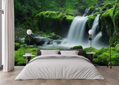 Waterfall cascades in a green forest Wall mural