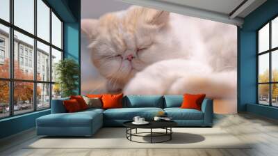 Yellow and white Garfield in the apartment, cozy and comfortable, city apartment, modern life, keeping pets, pet life, companionship of pets, comfort animals, supplies for pet industry, owner and cat Wall mural