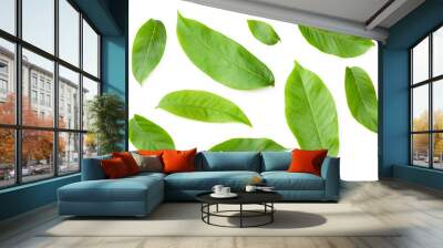 green walnut leaves isolated on a white background. Top view Wall mural