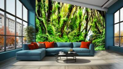 Green beautiful planted tropical freshwater aquarium with small Wall mural