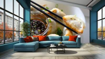 fried asian potstickers appetizer Wall mural