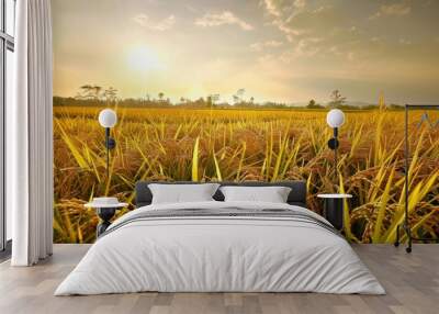 A golden wheat field bathed in autumn sunlight, capturing the essence of harvest and abundance Wall mural