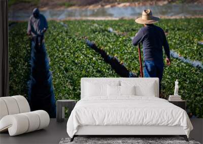 Farm worker in straw hat with shovel looking at another farm worker in a strawberry field Wall mural