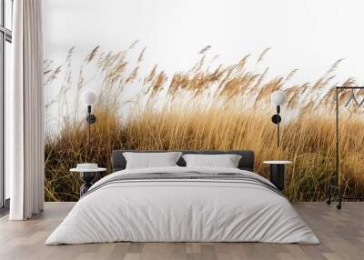 Cutout dried grass meadows savanna field isolated on transparent background
 Wall mural