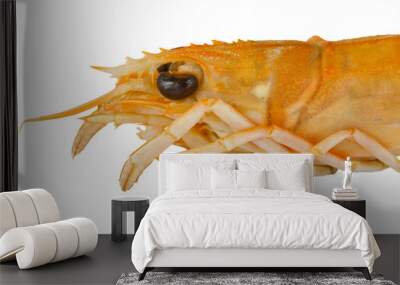 crayfish head Wall mural