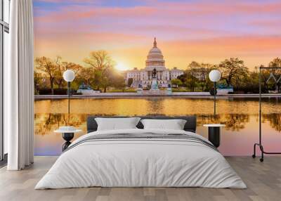 Capitol building in Washington DC Wall mural