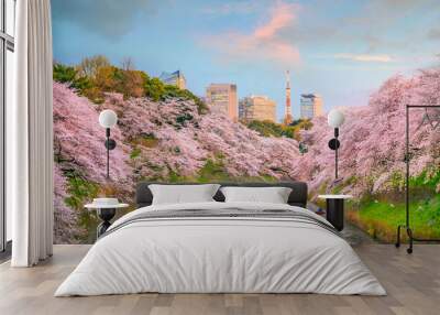 Chidorigafuchi park in Tokyo during sakura season Wall mural