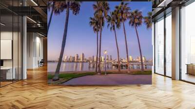 Downtown San Diego skyline in California, USA Wall mural