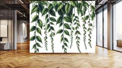 Vertical branches of creepers and ivy on a white background. Wall mural