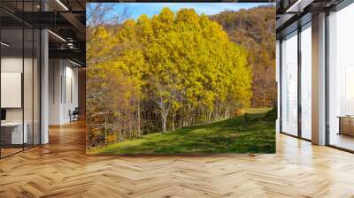 Autumnal landscape in the Aveto Regional Natural Park, Genoa province, Liguria, Italy. Wall mural