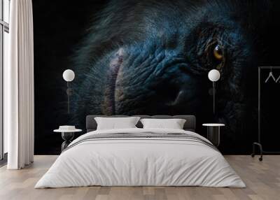 Dark closeup portrait of chimp or chimpanzee with wise look Wall mural