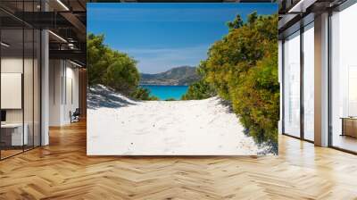 crystal clear water and white sand at Campulongu beach in Villasimius Wall mural