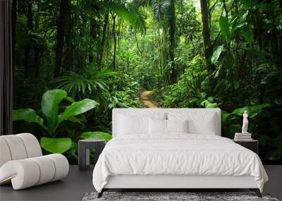 Amazon rainforest with lush vegetation
 Wall mural