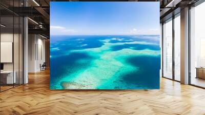 Aerial: exotic tropical coral reef secluded destination away from it all, caribbean sea turquoise water white sand beach. Indonesia Sumatra Banyak islands Wall mural