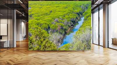 Landscape in Maremma nature reserve, Tuscany, Italy. Extensive pine forest blue river in green woodland in natural park, dramatic coast rocky headland Wall mural