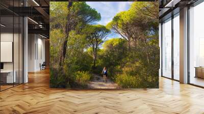 Woman riding MTB in Maremma nature reserve, Tuscany, Italy. Cycling among extensive pine forest olive trees and green woodland in natural park, dramatic coast Wall mural