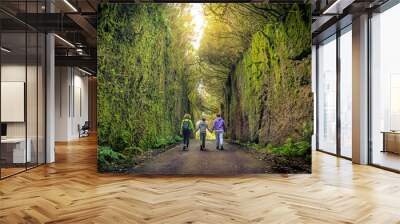 Mother with two sons walks in a beautiful natural setting of the Anaga Park, Tenerife Canary Islands Spain. Tourists walking on the path between two rock walls with wild vegetation, mosses and ferns. Wall mural