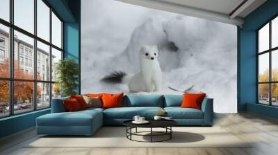 animal Wall mural