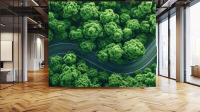 top view photo aerial green forest with road and car Wall mural