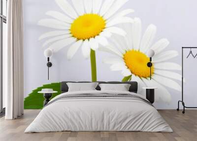 Daisey Flowers Wall mural