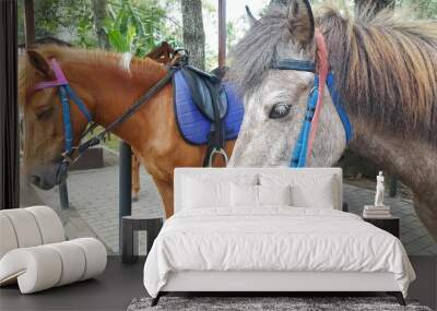 Two horses with saddle in the stable on a farm Wall mural