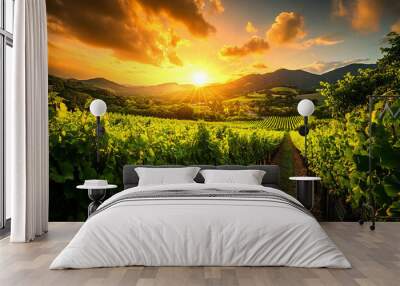 Beautiful wineyards landscape, Grape field. Vineyard hills. Summer scenery with wineyard rows
 Wall mural