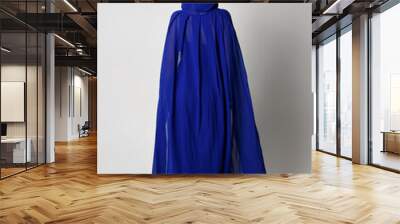 Full length portrait of beautiful young female model elegant blue fantasy  ball gown and flowing cape with hood. Standing pose, walking away facing backwards. Isolated on whit studio background. Wall mural