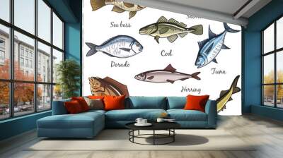 Vector illustration of fish Wall mural