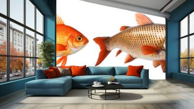 collection of beautiful creation with beautiful unique and colorful Fish Wall mural