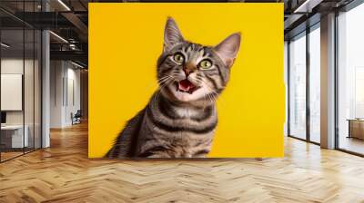 portrait of a cute cat with yellow background, Happy cat, happy cat facing in camera, excited cat with open mouth, happy kitten  Wall mural