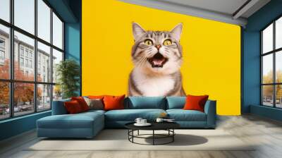 Portrait of a happy and excited cat with yellow eyes on isolated yellow background Wall mural