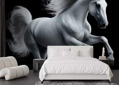 WHite horse run gallop
 Wall mural