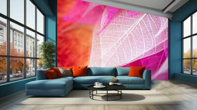 Closeup nature view of transparent skeleton leaf on beautiful color with copy space using as background or wallpaper concept. Wall mural