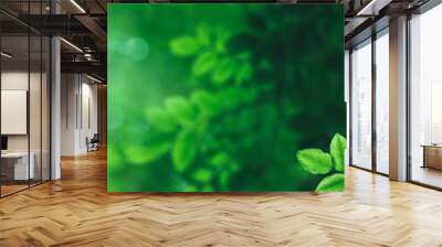 Dark green leaf texture, Natural green leaves using as nature background wallpaper or tropical leaf cover page Wall mural