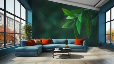 Dark green leaf texture, Natural green leaves using as nature background wallpaper or tropical leaf cover page Wall mural