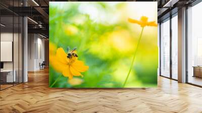 Nature of flower and bee in garden using as background natural wallpaper Wall mural