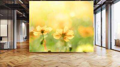 Nature of flower in garden using as cover page background natural flora wallpaper or template brochure landing page design Wall mural