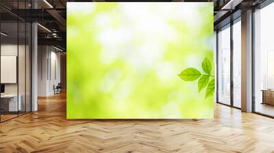 nature of green leaf in garden at summer. natural green leaves plants using as spring background cov Wall mural