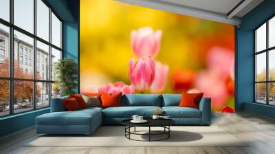 Nature of tulip flower in garden using as cover page background natural flora wallpaper or template brochure landing page design Wall mural