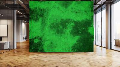 illustration Long green background, abstract khaki green background.	
 Wall mural