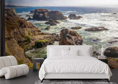 The scenic coastal landscape in Pomo Bluffs Park, California Wall mural